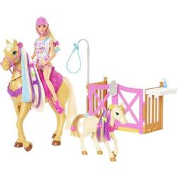 Barbie Groom 'N Care GXV77