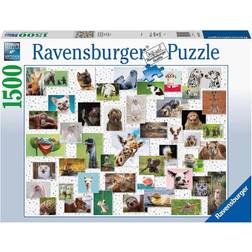 Ravensburger Funny Animals Collage 1500 Pieces