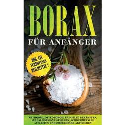 Borax fur Anfanger (Häftad, 2020)
