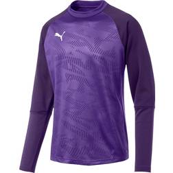Puma CUP Training Core Sweatshirt Men - Prism Violet/Indigo