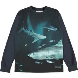 Molo Rexton - Dark Sharks (1W21A421 7559)