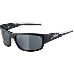Alpina Testido Q Polarized A8566531