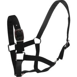 Roma Headcollar & Lead Rope Set