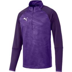 Puma CUP Training Core 1/4 Zip Top Sweatshirt Men - Prism Violet/Indigo