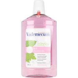 Vademecum Bucal Sin Alcohol Antiplaca Bacteriana 700 ml