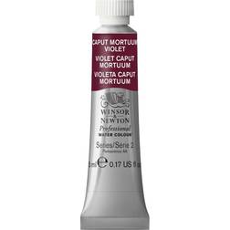 Winsor & Newton Professional Water Color Caput Mortuum Violet 125 5ml