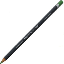 Derwent Artists Coloured Pencils Moss Green