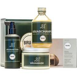 BRUNS Nr 81 Växa Startkit