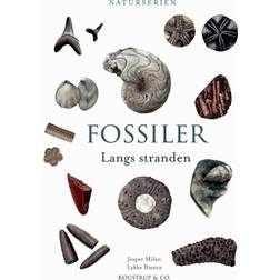 Fossiler: Langs stranden (Inbunden, 2021)