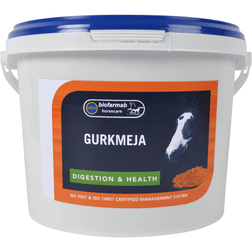 Biofarmab Gurkmeja 600g