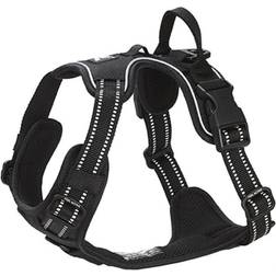 Feel Active Training Padded Harness S