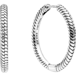 Pandora Moments Charm Hoop Earrings 299532C00 For Women