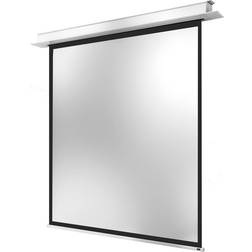 Celexon Electric Professional Plus Ecran de projection montable au plafond, montable sur mur motorisé 230 V 122" (310 cm) 1:1 blanc mat blanc