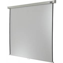 Celexon Rollo Professional Schermo per Proiettore 1:1 290 x 290 cm
