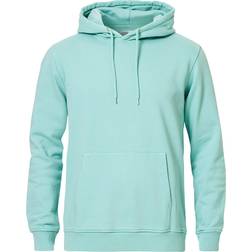 Colorful Standard Classic Organic - Vert