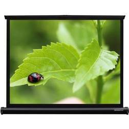 Grandview GV103220 (4:3 60" Portable)