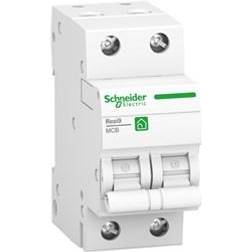 Schneider Electric R9F24213
