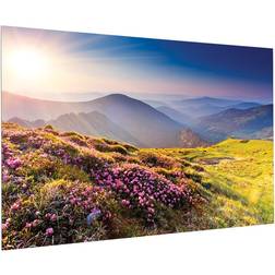 Projecta FullVision Matte White (16:10 232" Fixed Frame)