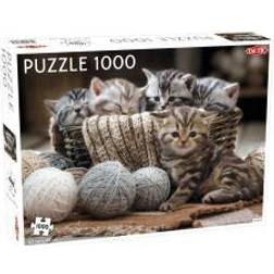 Tactic Cute Kittens 1000 Pieces