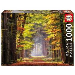 Educa Fall Walkway 1000 Pieces