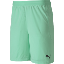 Puma teamFINAL 21 Knit Shorts Men - Green Glimmer