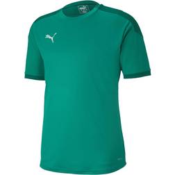 Puma teamFINAL 21 Training Jersey Men - Pepper Green/Power Green