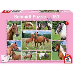 Schmidt Spiele Horse Dreams 150 Pieces