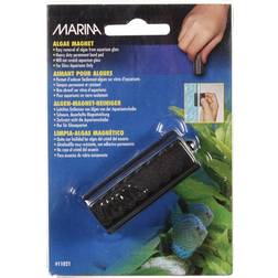 Marina Marina Algae Magnet Small