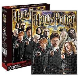 Aquarius Harry Potter Collage 1000 Pieces