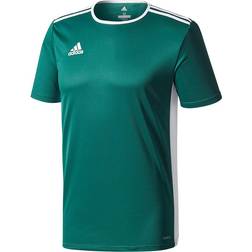 Adidas Entrada 18 Short Sleeve Jersey Kids - Green/White