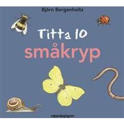 Titta 10 småkryp (Papbog)
