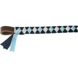 ShowQuest Epson Browband