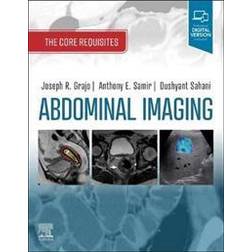 Abdominal Imaging (Häftad)