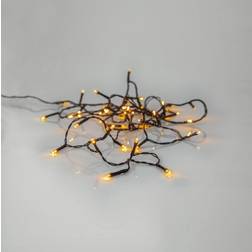Star Trading 594-17 Golden Lampada a Corda 280 Lampade