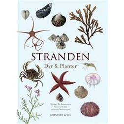 Stranden (Indbundet)