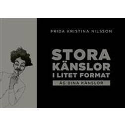 Stora känslor i litet format : äg dina känslor (Häftad)