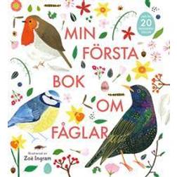Min första bok om fåglar (Inbunden)