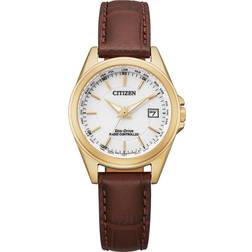 Citizen (EC1183-16A)