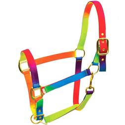 Roma Rainbow Headcollar