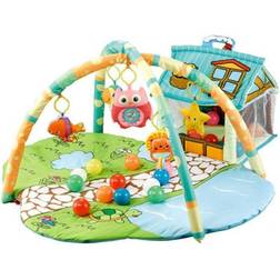 Ladida Happy Space Play Gym