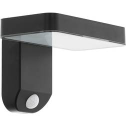 Eglo Pastion Wall light