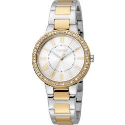 Esprit (ES1L228M0055)