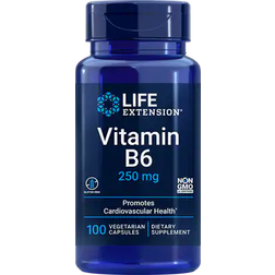 Life Extension Vitamin B6 250mg 100 pcs