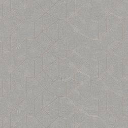 Erismann Graphic Walls (10062-02)