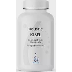 Holistic Kisel 250mg 90 stk