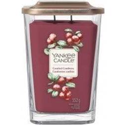 Candied Cranberry Large Duftlys 552g