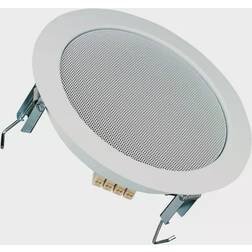 Visaton DL 18/1 100 V Speaker