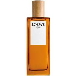 Loewe Solo Men's Perfume 100ml