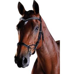 Collegiate Comfitec Patent Bridle