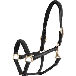 Jacson Leather Halter Cancun Brown, Unisex, Equipo, ecuestre, Equitación, Marrón, Ponny